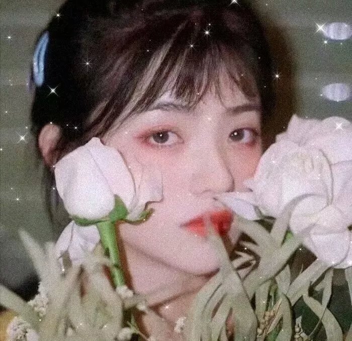 惊爆十三天